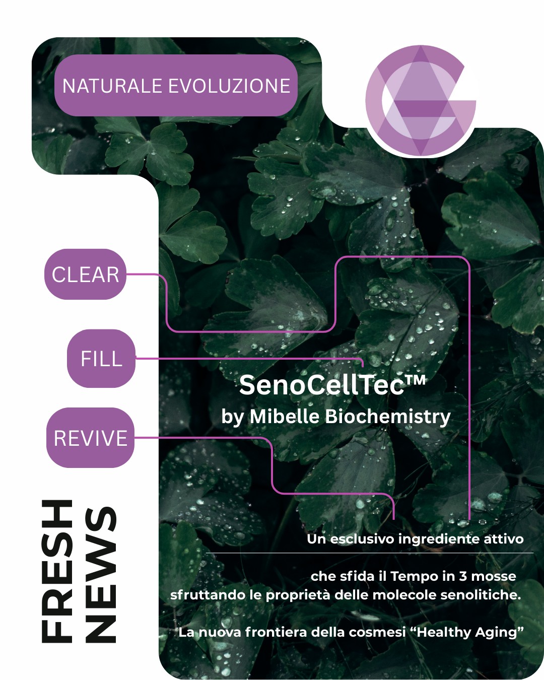 SenoCellTec™ by Mibelle Biochemistry “sfida il tempo” in 3 mosse.